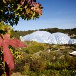 Autumnal leaves with Biomes in the background